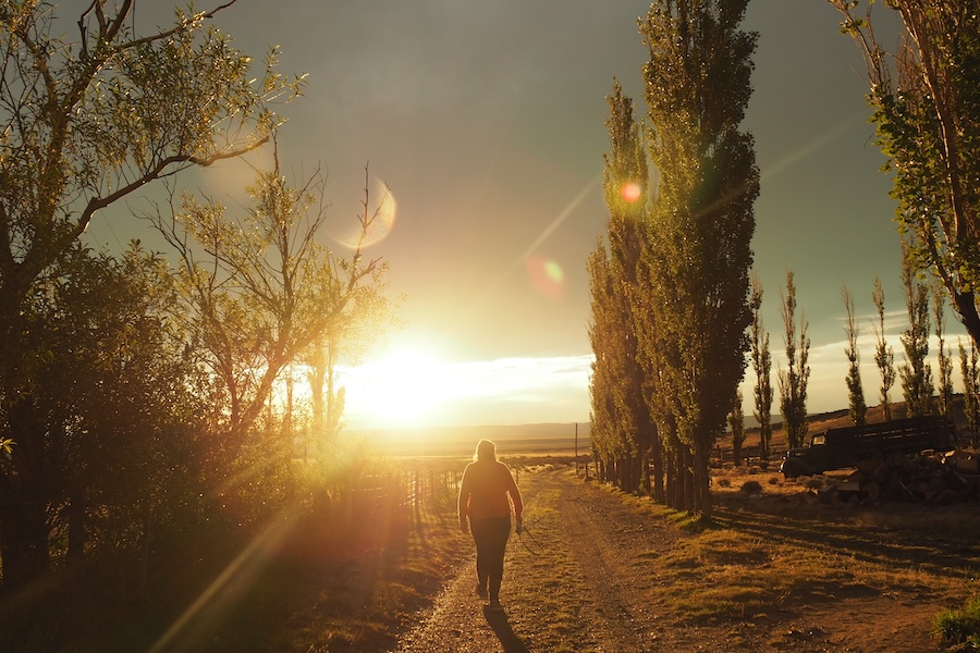 woman walking on a country road at sunset 2026 03 13 01 36 07 utc